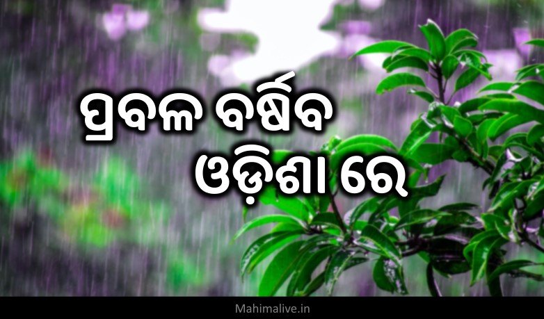 odisha rain