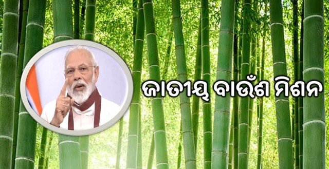 bamboo mission