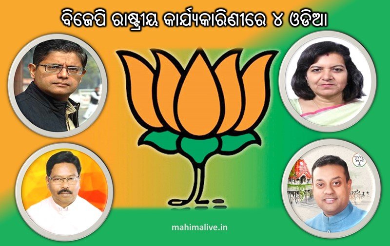 bjp nadda team