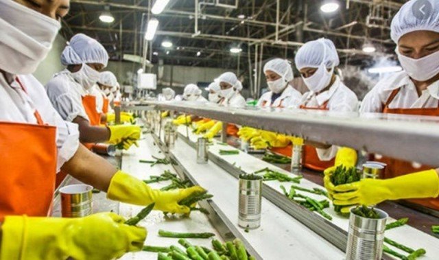mega food park