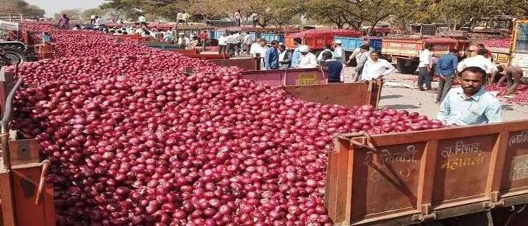 Onion-onion