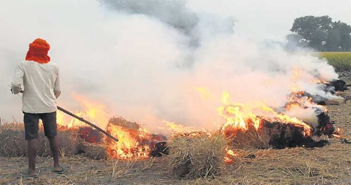 crop-burning