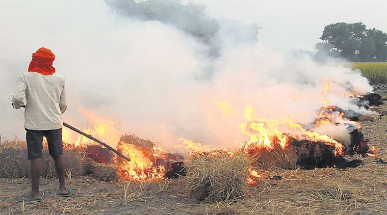 crop-burning