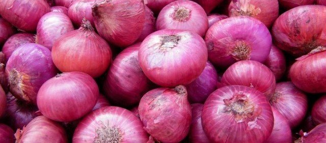 onion