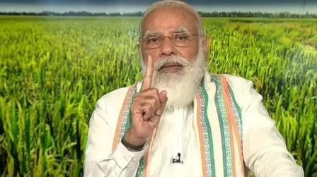 pm modi_fao