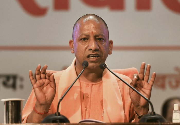 yogi up