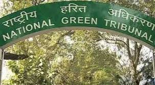 ngt