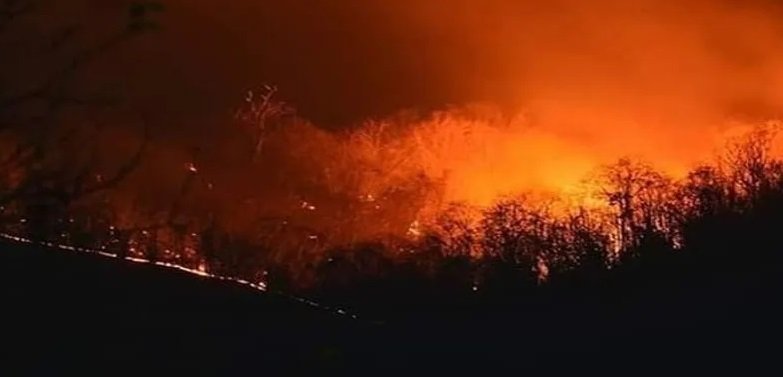fire-in-similipal