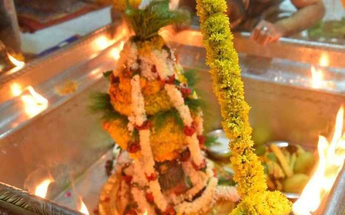 kashi