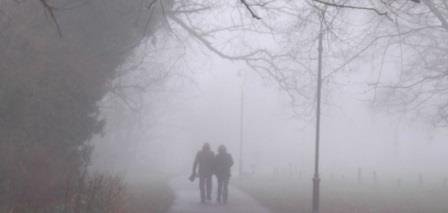 fog odisha