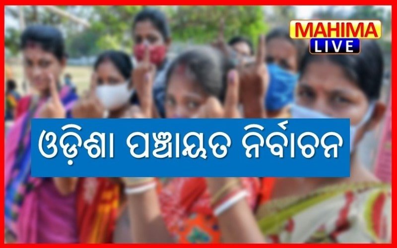 disha_panchayat_polls