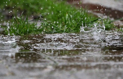 odisha-rains