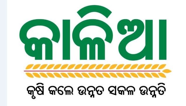 kalia-yojana_odisha