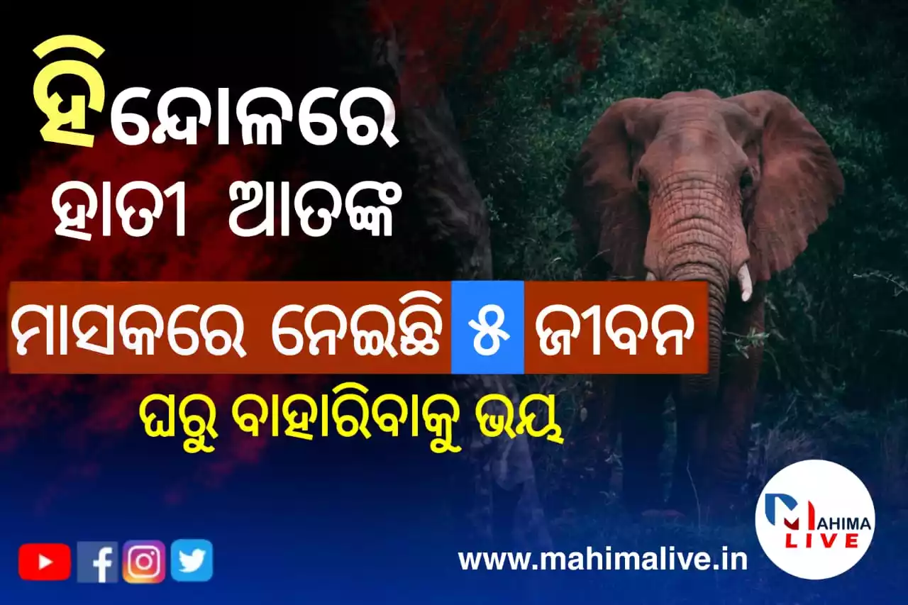 hindol _ forest range-helpline number