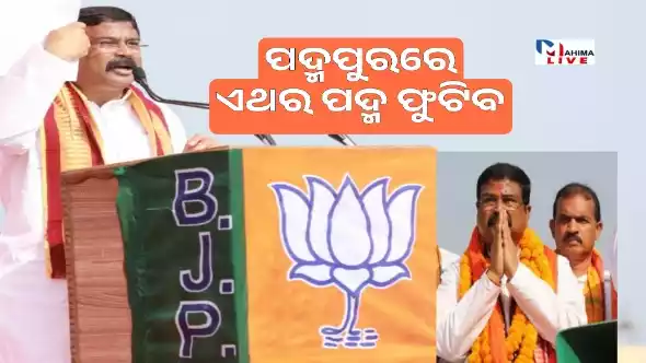 Padmapur Byelection
